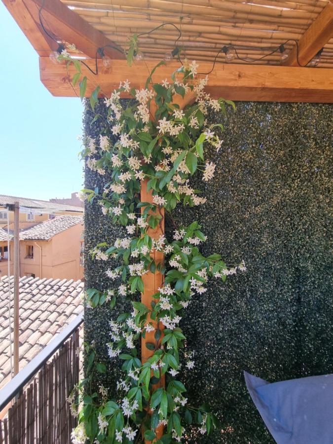 רומא Paradise Penthouse Suite Amazing View מראה חיצוני תמונה